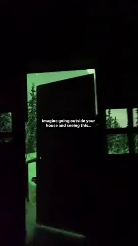 Seeing the aurora directly from the front door of the cabin. Magical.