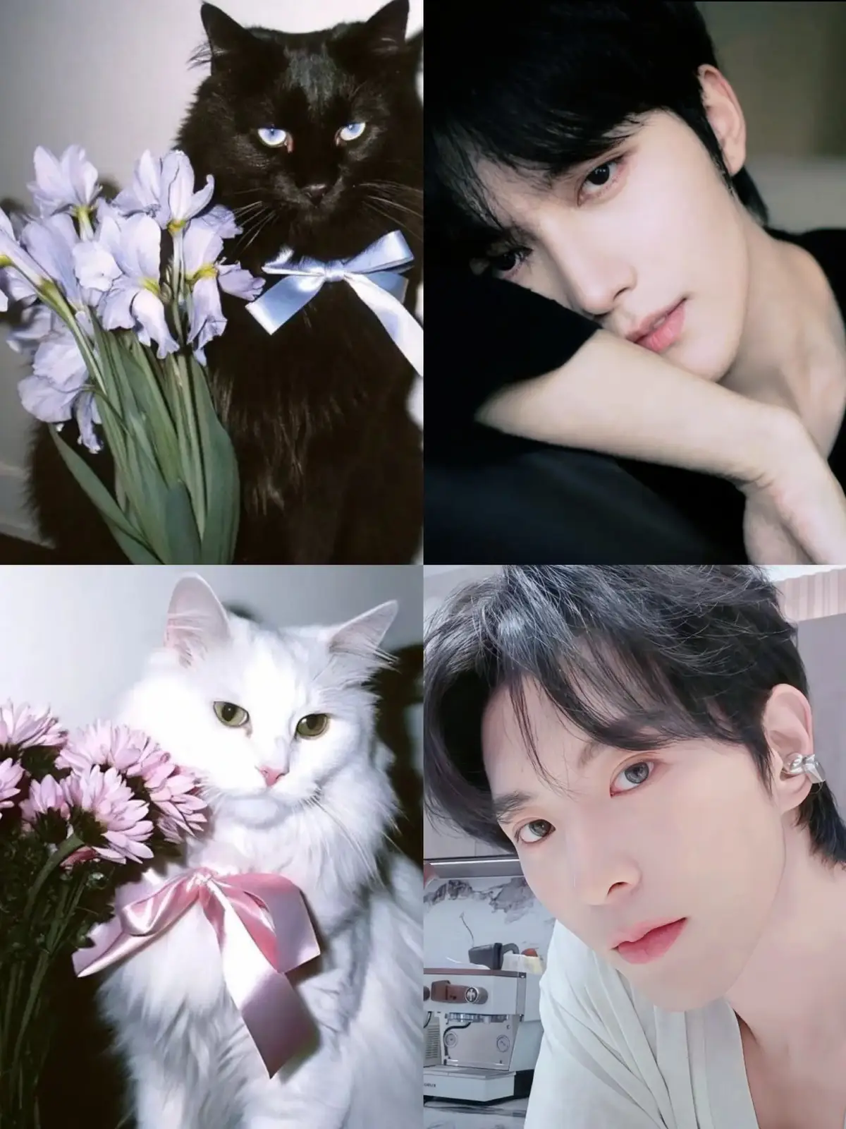 ถ้าบ้าน Desire4 เป็นแมว ก็คงเป็นแมวติดแกรม แมวแบบลูกคุณหนูหลานคุณนาย กินฟัวกราส์จิบเอเวียงนอนเตียงผ้าซาตินเกรดพรีเมี่ยม แปรงขนได้แต่ห้ามเกาคาง เวลาว่างคือนอนน้วยกันเป็นคู่ๆ เชื่อฉันเถอะ ฟีลนี้แน่นอน 🤭 #xingqiu #jianghenglipeien #i4cream #Desire4 #นักดื่มวาย 