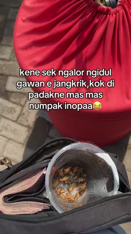 tasek di totoh dewe cah #kicaumania #kicaumaniaindonesia #muraibatu #fypシ゚ #fyp #4u 