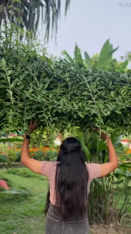 #nepalisong #viraltiktok #viral @Prashant Kc @.Magarni😘!!❣️🦋 @मेलिना मगर @magarnii🫶💗 @Su zai zai.....🐻‍❄️🦄 @Shanti @🌶️ #❤️😘🥰😂😂😂😂😂😂😂 