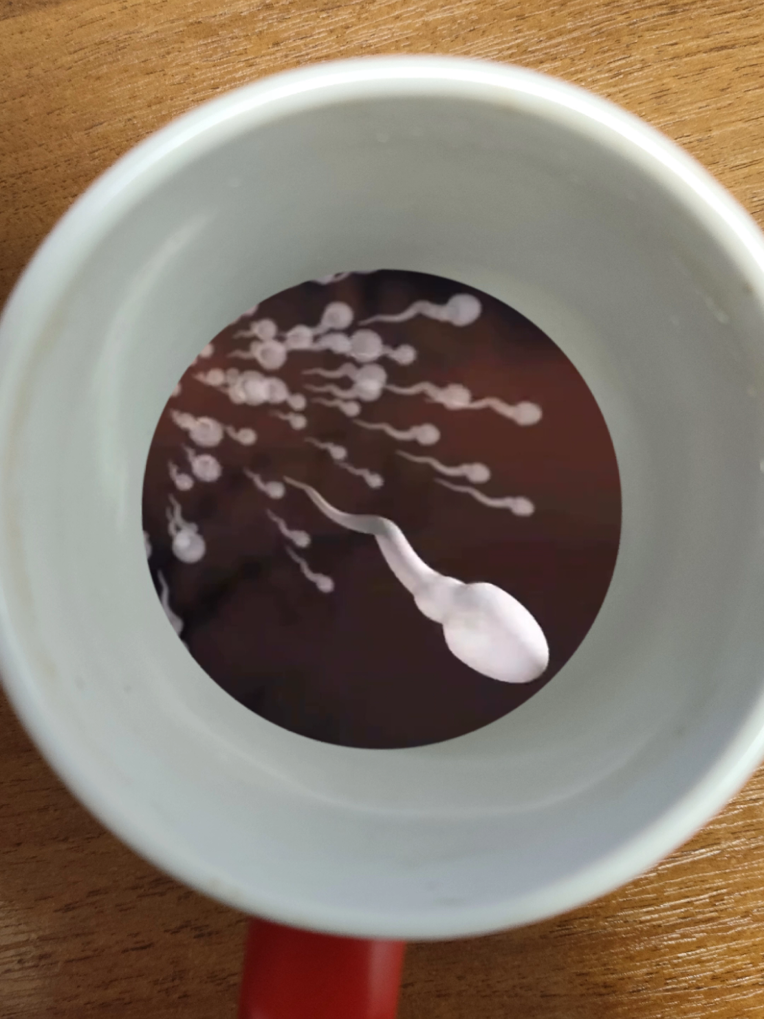 #tiktok #смешныевидео #смешныеролики #юмор #шрек #shrek 