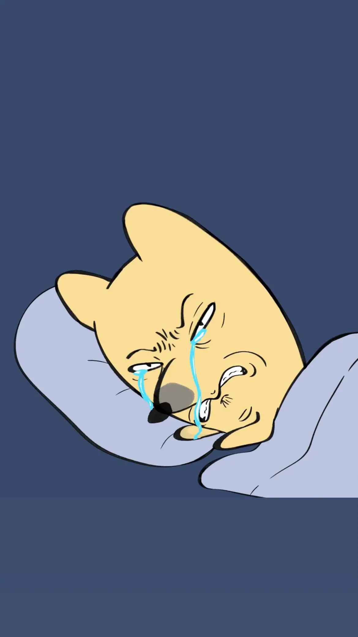 Meme đau khổ quằn quại cho mấy thằng cốt 😒 #conchoco #conchocoday #meme #viral #fyp 