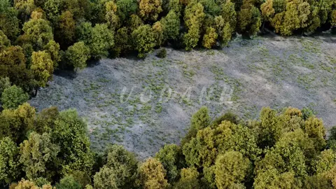 Khóc Nơi Ta Cười Remix#nhachaymoingay #xuhuong #vodanh #fyp #nhachay 