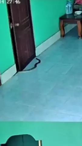 #grabstick #alatpenjepitular #alatpenjepitsampah 