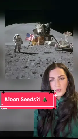 Hold up…nobody told me about these moon seeds?!  Did you know?  Any fun moon conspiracies?  #FYP #MoonLanding #NASA #MoonTrees #Moon
