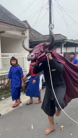 #joyoklono #patassoponyono 