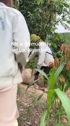 Sst dành cho ai muốn làm rể Lục Ngạn🫢🤣#quehuong #que #giadinh 