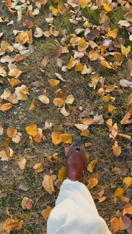 اُس سے بھچڑ کر مجھ کو مہینہ ہوا نہ تھا لوگ مجھ کو دیکھ کے کہتے تھے ہائے ہجر۔۔🍂      #poshtosong #poshto_poetry  #fayazkhankheshgi #ghanikhanbabapoetry #ghanikhanpoetry 