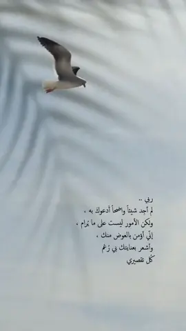 #الحمدالله_علی_کل_حال❤ #كلام_من_القلب #🦋 #😍😍😍 #🌹 