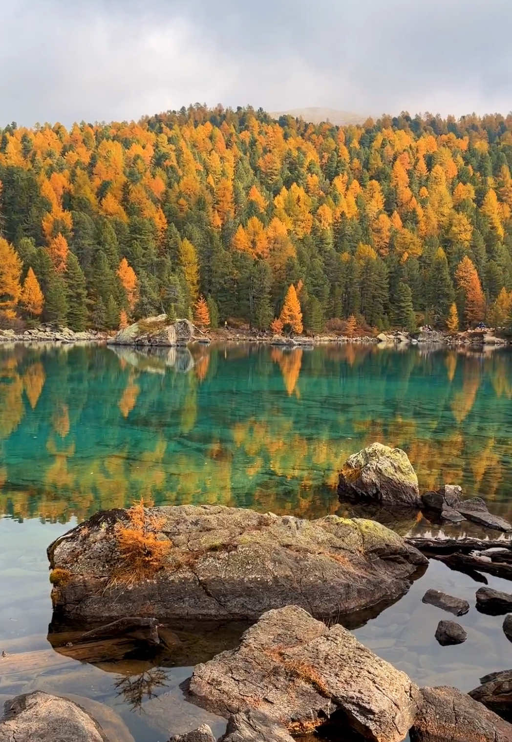 📍 Lago di Saoseo, Switzerland 🇨🇭 Follow for daily Swiss Content 🇨🇭 📌 Save this for your trip to Switzerland 🇨🇭  🎥 by: @swisswoow  #switzerland #mountains #schweiz #saoseosee #lagodisaoseo