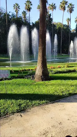 مروان زغراوي#foryoupage #الشعبي_الجزائري🇩🇿🇩🇿 #fyp #الشعب_الصيني_ماله_حل 