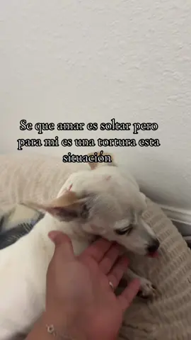 Amigos tengo ahorita mi alma destrozada 😭 #fyp #parati #andrearomanoss #midiariopersonal 