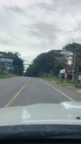 Trấn Rừng Thông Lâm Đồng