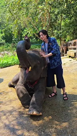 อ้วนภูพิงค์สุดหล่อ ชายไทยรูปหล่อ ครับ😍😍🥰🥰❤️🐘❤️❤️