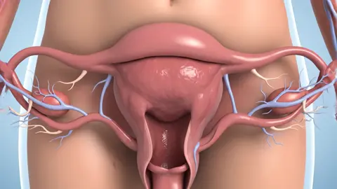 Twins Baby inside view in Mother  #anatomy #viral #foryou#human#healthylifestyle  ‎