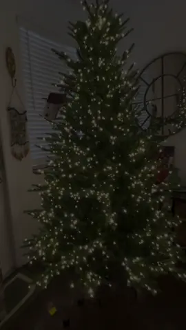 The Viral Christmas Tree! #granduchess #viraltree #homedepot #inlove 🎄♥️🥰