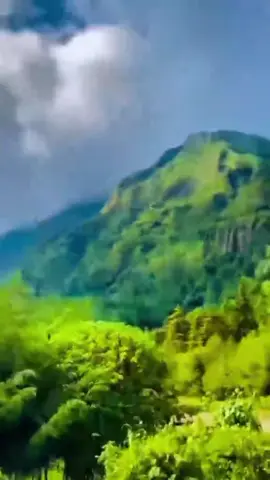 #oromotiktok #ethiopian_tik_tok🇪🇹🇪🇹🇪🇹🇪🇹 #creatorsearchinsights #fyppppppppppppppppppppppp #viraltiktok dabbal mootii gaara🌳✨