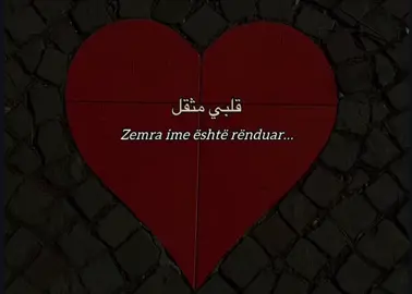 #viralvideos #videoviral 