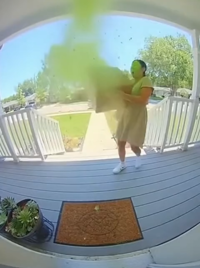 The red up quickly! #ringdoorbell  #melissa  #porchpiratecaught  #caughtoncamera  #hurricanemilton  @AI_Funnies@FUNnel Vision @DoorCam Footages 