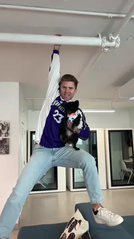 just hangin w my dawgs 😎#mauiwowie #petinsurance #dogsoftiktok 