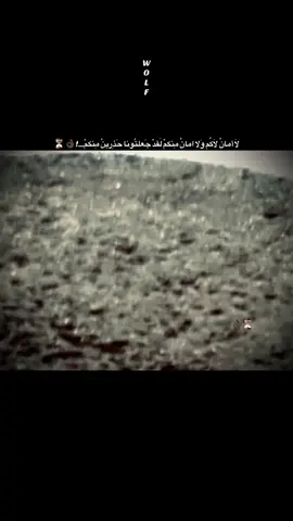 #wolf #viral  لا أمان و إستقرار #👌🏿⏳⏳👍🏾