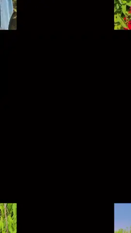 সব মেয়ে রূপ দেখানোর জন্য টিকটকে আসে না....🙁 #foryou #foryoupage 