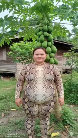 penampakan Dewi Ular... #Silumanular #DewiUlar #ModeHibryd #UlarSanca