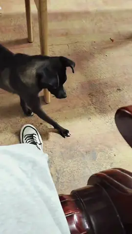 Kondisi terkini mushola PONPES Al Khoziny Sidoarjo saat salat ashar #jtvjember #evakuasi #sidoarj #fyp 