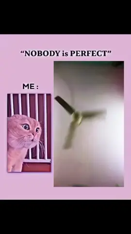 Bhojpuri song..!!✨💗 #trending #highlight #foryou #foryoupage #creatorsearchinsights