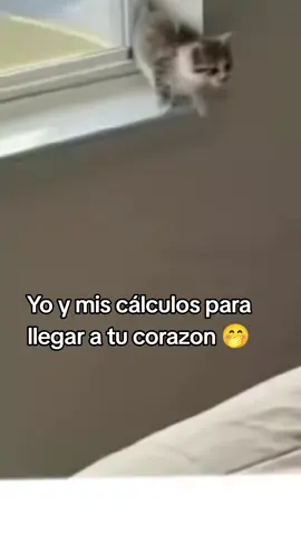 #Viral #pyf #paratiiiiiiiiiiiiiiiiiiiiiiiiiiiiiii 