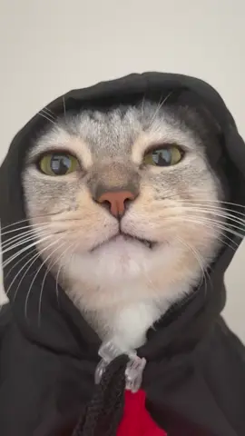 ผีปอบร่ายมนตร์เคี้ยวลม