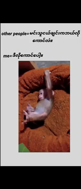 🤣🤣🤣🤣🤣🤣🤣🤣🤣🤣🤣🤣🤣🤣🤣🤣🤣🤣🤣🤣🤣🤣🤣🤣🤣🤣🤣🤣🤣🤣#########pppppppppppppppppppp