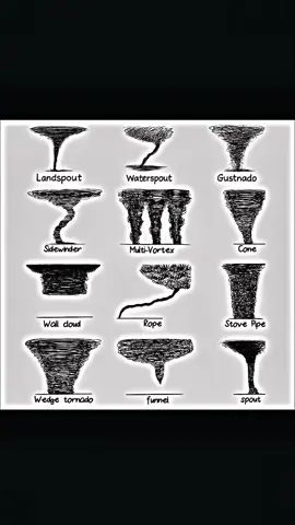 Wedge tornado là một loại lốc xoáy có hình dạng như một cái nêm lớn, rộng hơn nhiều so với chiều cao của nó và thường là loại lốc xoáy mạnh nhất, có khả năng gây ra sức tàn phá nghiêm trọng #tornado #xuhuongtiktok #xuhuong #fyp #wedge