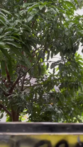 nyocokne howo mackk🍜#dodiksaja#garasiberkahpasir#gl100#cepek 