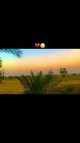 #متابعه_ولايك_واكسبلور_فضلا_ليس_امر #تصويري_احترافي_الاجواء👌🏻🕊😴 