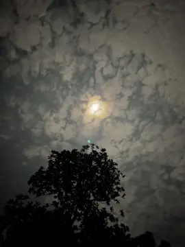 এখনো হয়নি রাত! আকাশে কতো যে তারা..!!🌕🤍  #foryou #foryoupage #viralvideo #bdtiktokofficial🇧🇩 #chand #bdtiktokofficial @TikTok Bangladesh @𝟏𝟕.! 