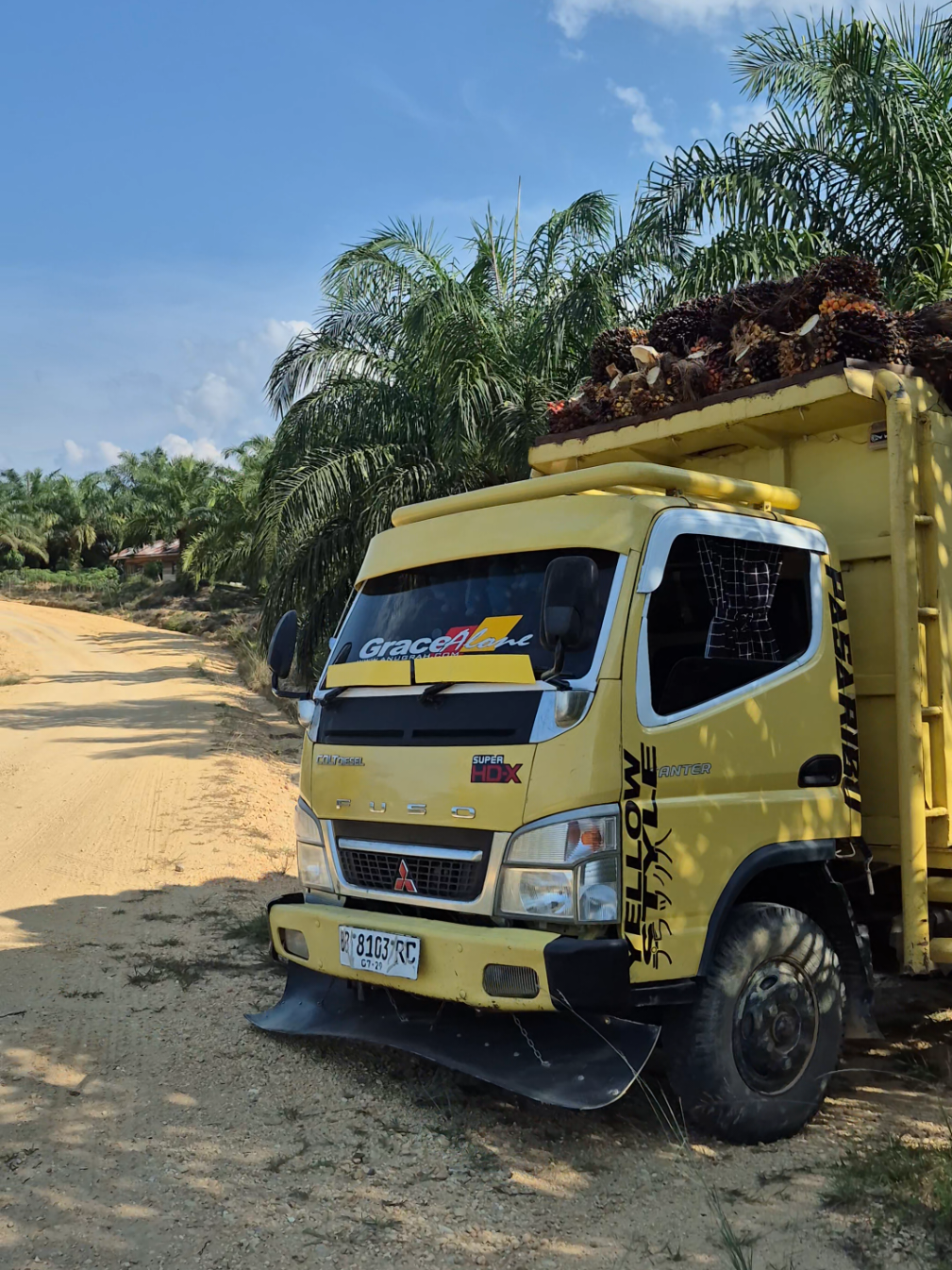 ahadii😆🤣🤣 #foryoupage #sawitontiktok @𝙎𝙖𝙢𝙤𝙨𝙞𝙧 🀄 