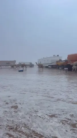 اي والله علاج الروح 