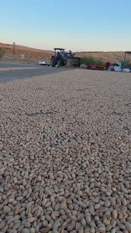 #تركيه_سوريه_العراق_السعوديه_فاسطين #جف#عل وجهك😎😎