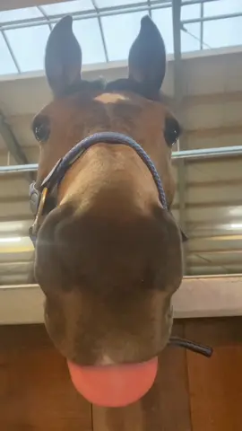 #corecore #hopecore #fyp #fypシ #foryoupage #nichetok #humanexperience #thebeatles 