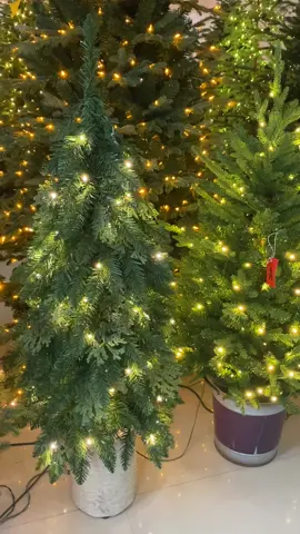 Nice Christmas tree 🎄 #christmastree #wholesale #factory #foryou @TikTok @tiktok creators 