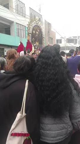 #LIVEIncentiveProgram #GoLIVEGrowFast #PaidPartnership 