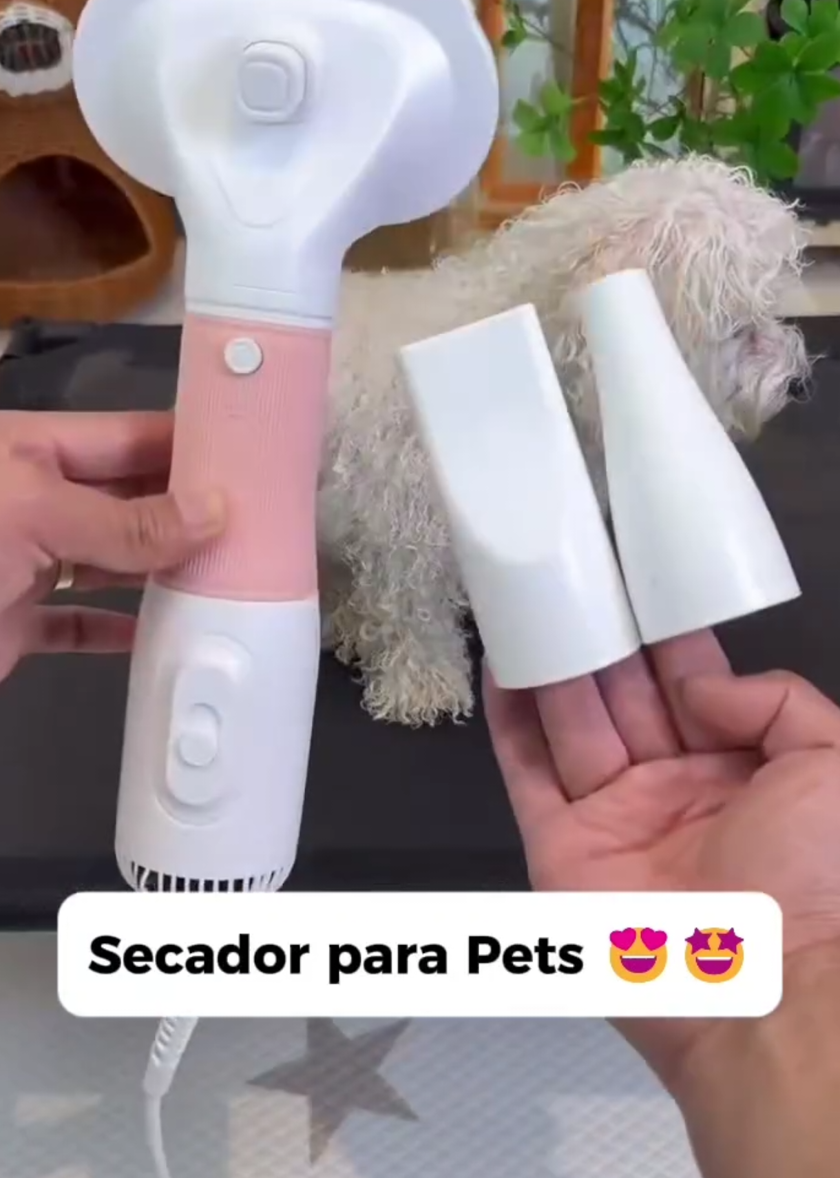 Secador De Pelo Escova Pente Pet Tosa Profissional Portátil 2 IN 1 Remove Pelos Cachorro Gato 110V #achadinhos #secador #secadorpet #SECADORDECACHORRO Comente 