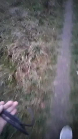 #приколы #провода #медь #электрика 