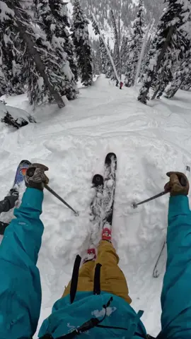 Snow fun 🤩 #ski #skiingtiktok #freeride #powderdays #offpiste 🎥 Carter McMillan