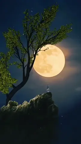 #xuhuongtiktok #2024bride 