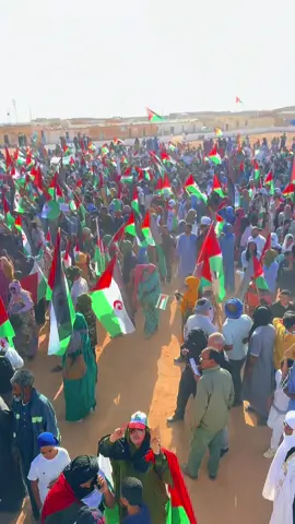 #اسبانيا🇪🇸_ايطاليا🇮🇹_البرتغال🇵🇹_فرنسا🇫🇷 #