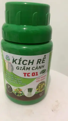 Mọi người cần vào tham khảo #TikTokAwardsVN #thevampirediaries #tiktok #xuhuong #at 