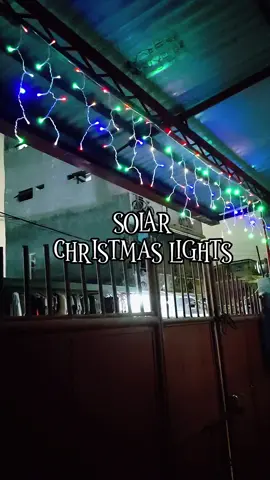 SOLAR CHRISTMAS LIGHTS. OUTDOOR #fyp #foryou #foryoupage 