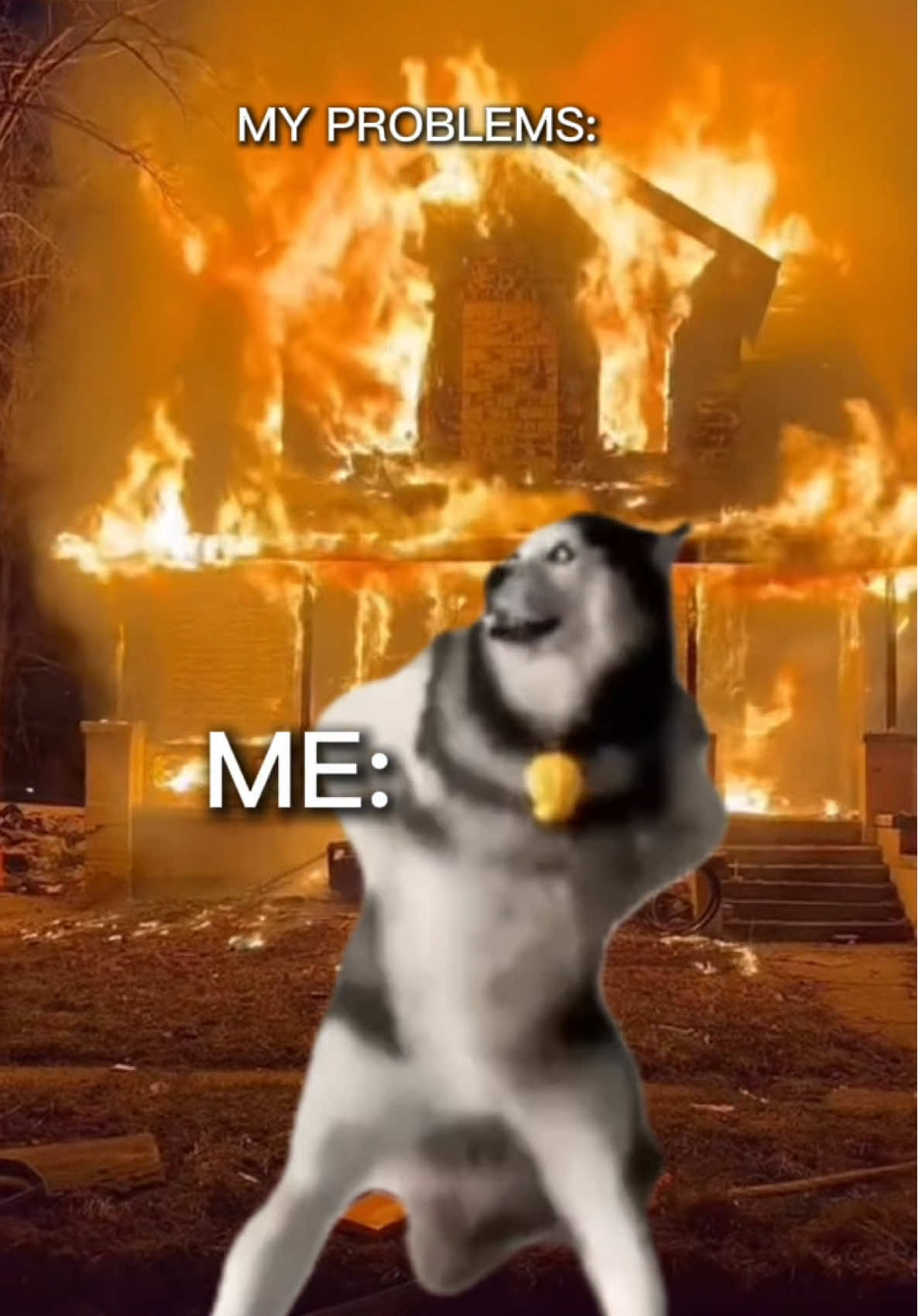 When life gives you problems… Just husky dance it away! 😂 #trend #huskytiktok #fyp #sumi #CapCut 